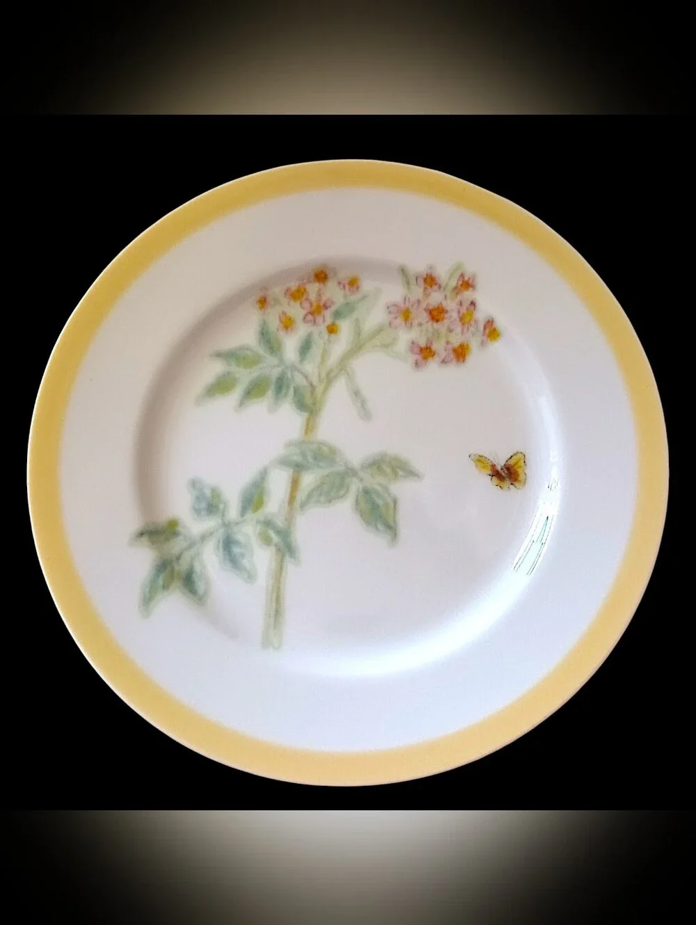 3 Williams Sonoma Flowering Herbs Salad Plates Yellow Band Wild Thyme Butterfly